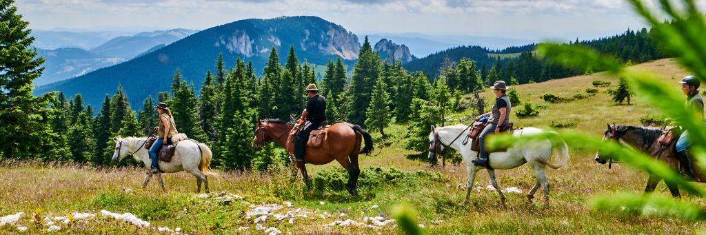 reit-slide4-auf-den-spuren-der-baren-1024x341-1