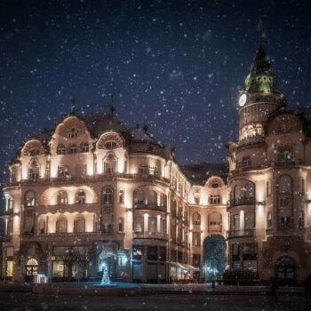 vulturu_negru-350x350