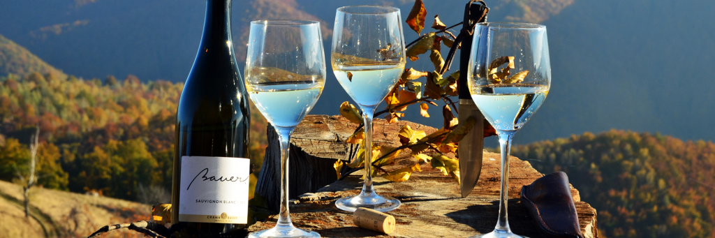 wine-slide-05-1024x341-1