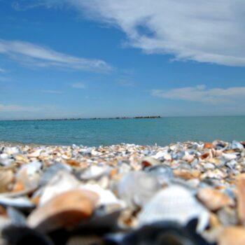 marea_neagra-350x350