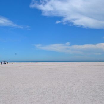 marea_neagra2-350x350