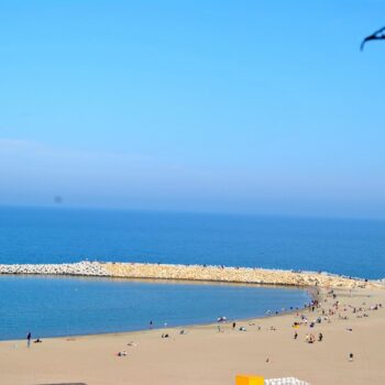 marea_neagra3-350x350