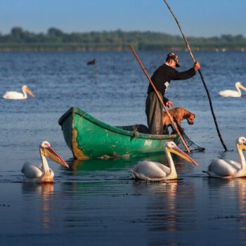 delta_dunarii1-350x350