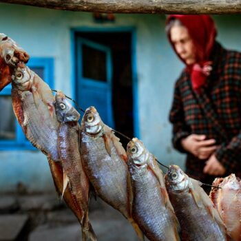 delta_dunarii2-350x350