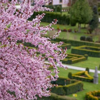 gradina_zoe3-350x350