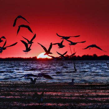 morning_delta-350x350