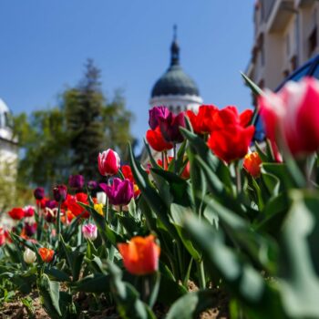 primavara_cluj1-350x350