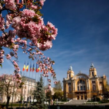 primavara_cluj2-350x350