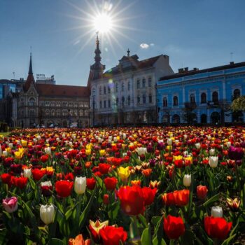 primavara_cluj3-350x350
