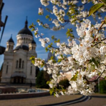 primavara_cluj4-350x350