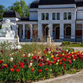 primavara_cluj5-350x350