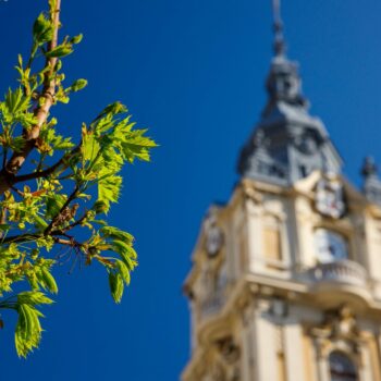 primavara_cluj8-350x350