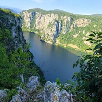 banatul_dunarea2-350x350