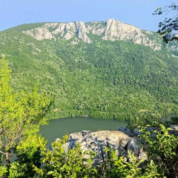 banatul_dunarea3-350x350