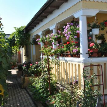 faleza_sulina2-350x350