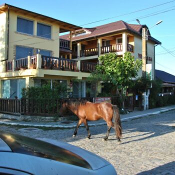 faleza_sulina5-350x350