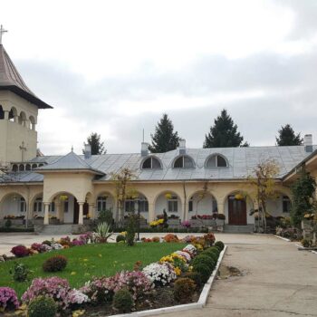 tudor_vladimirescu1-350x350