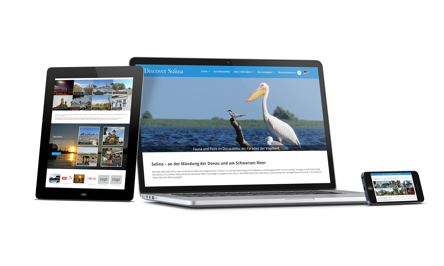 discover-sulina-mockup-de