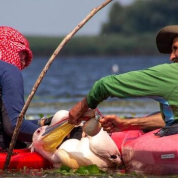 5feb23-5-1-1-350x350