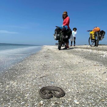 5feb23-5-2-1-350x350