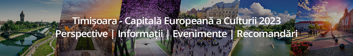 uir-banner-timisoara-ro-2