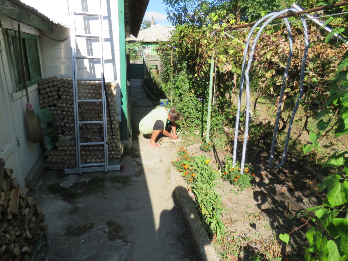 LEBEN-WIE-DIE-EINHEIMISCHEN-3