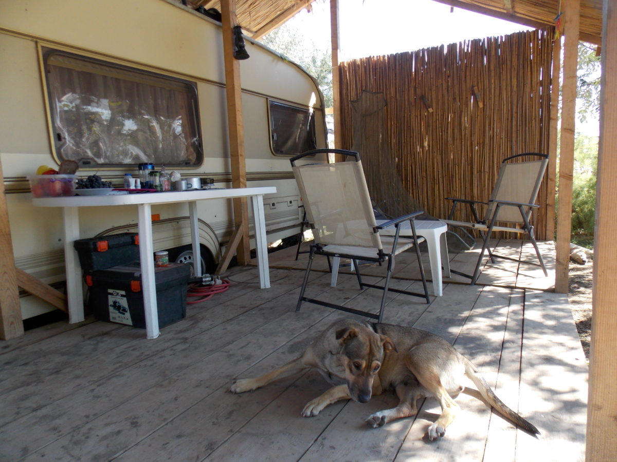 LEBEN-WIE-DIE-EINHEIMISCHEN-4