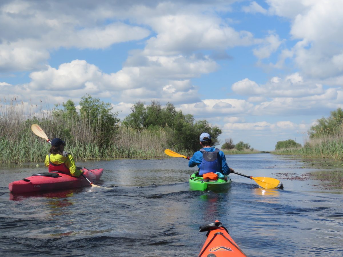 ZWEITÄGIGE-KAYAKTOUR-AN-DEN-WILDEN-STRAND-1
