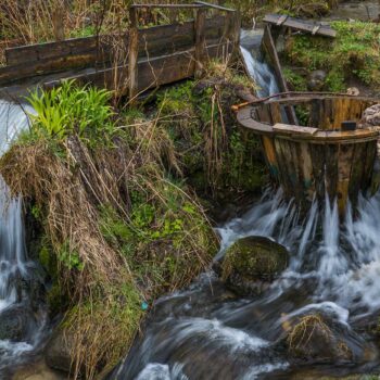 21marz23-4-1-350x350