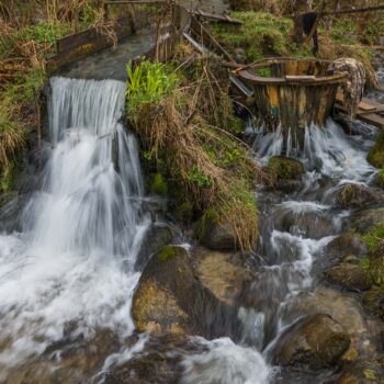 21marz23-4-3-350x350