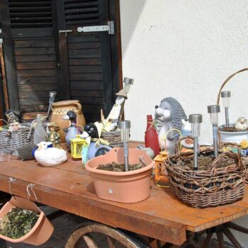 22marz23-2-10-350x350