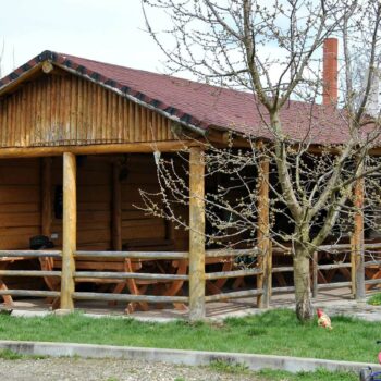 22marz23-2-9-350x350