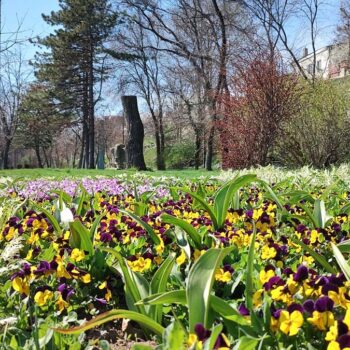 25mar23-1-10-350x350