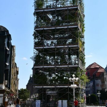 timisoara3-1-350x350