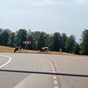 Transalpina12-350x350