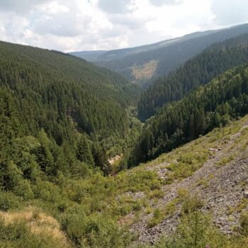 Transalpina2-350x350