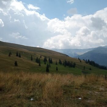 Transalpina6-350x350