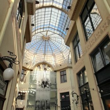 Vulturul-Negru-1-350x350