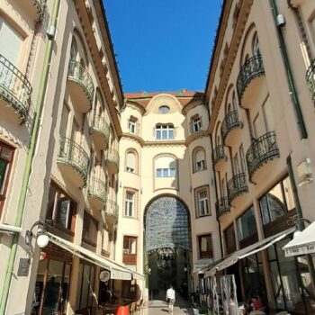 Vulturul-Negru-350x350