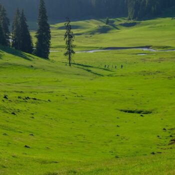 cetatile_ponorului1-350x350