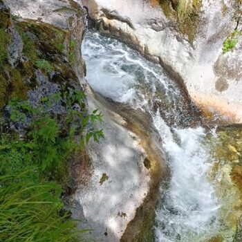 cheile_butii-1-350x350