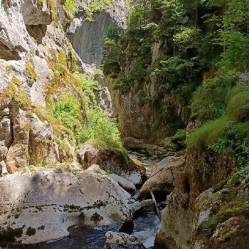 cheile_butii-350x350