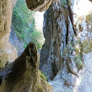 cheile_butii1-1-350x350