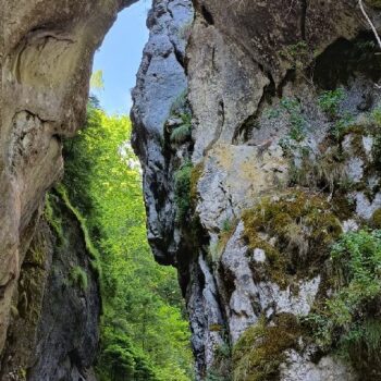 cheile_butii1-350x350