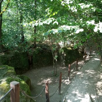 sinca_veche2-350x350