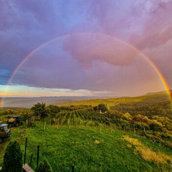 transilvania-350x350