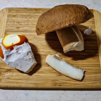 transilvania2-350x350