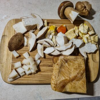 transilvania3-350x350