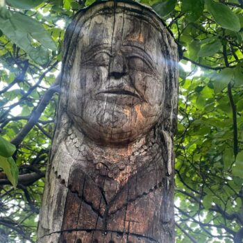 muzeul_valcea18-350x350