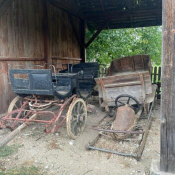 muzeul_valcea3-350x350